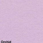 Orchid