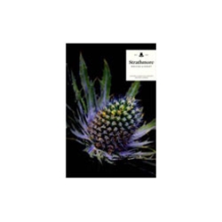 Strathmore Writing Envelopes