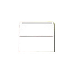 Remittance Envelopes