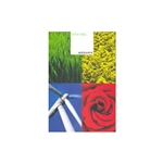 18x12 100# Cover 250 Sheets / Package